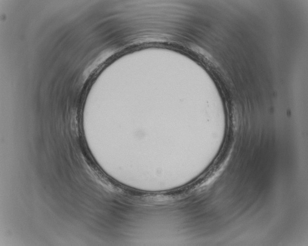 X0000067941113200605112052