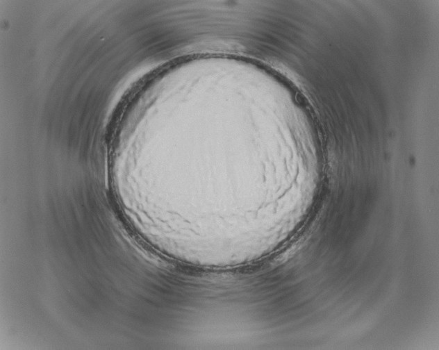X0000067941123200605112053