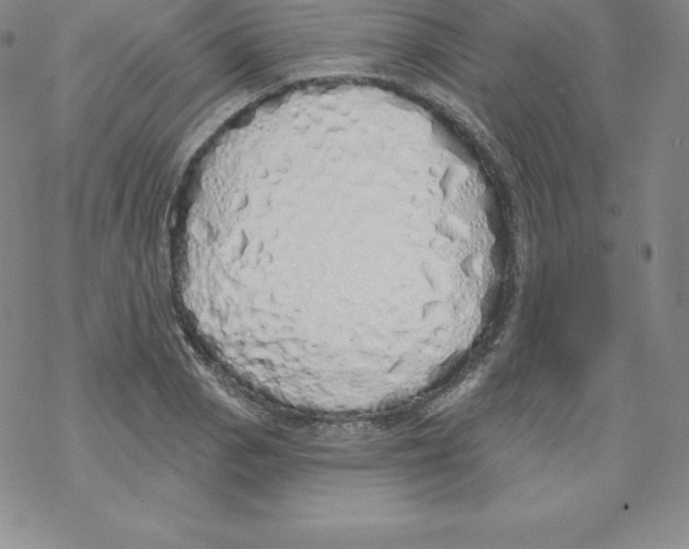 X0000067941129200605112053
