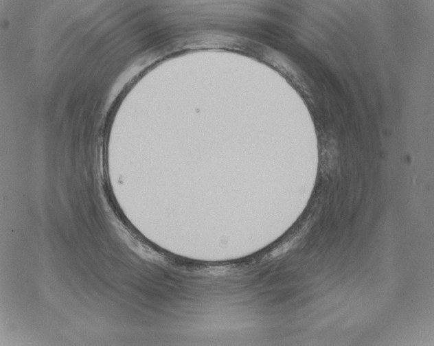 X0000067941130200605112053