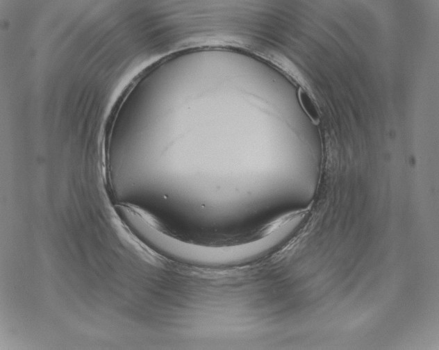 X0000067941132200605112053