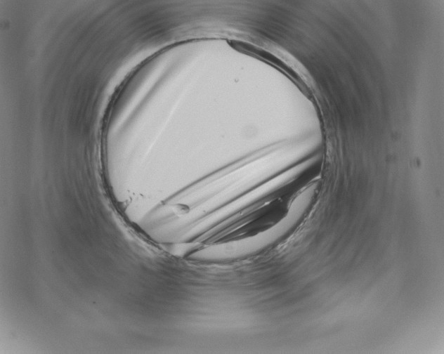 X0000067941144200605112053