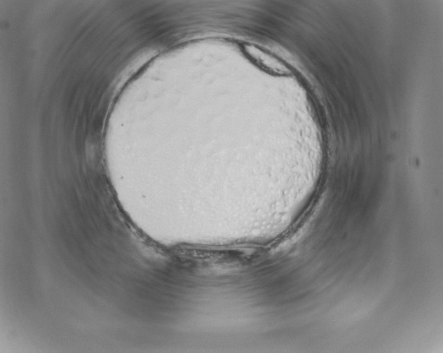 X0000067941145200605112053