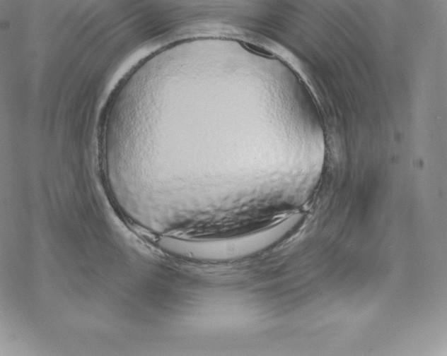 X0000067941147200605112053