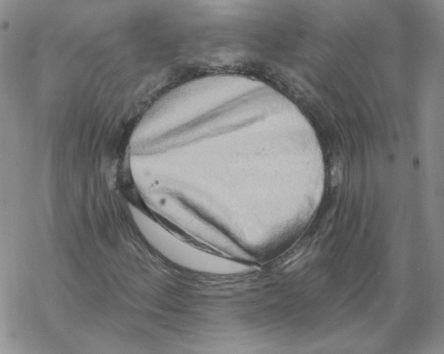 X0000067941156200605112052