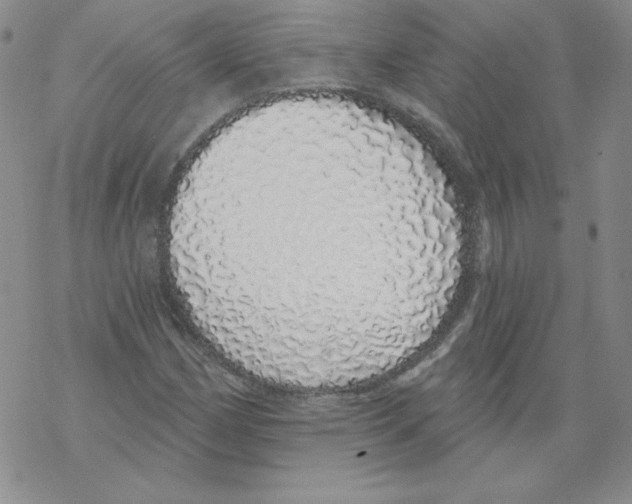 X0000067941162200605112052