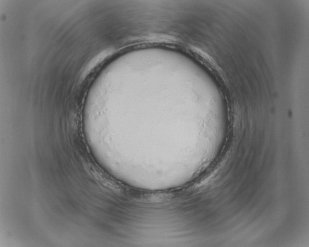 X0000067941163200605112052