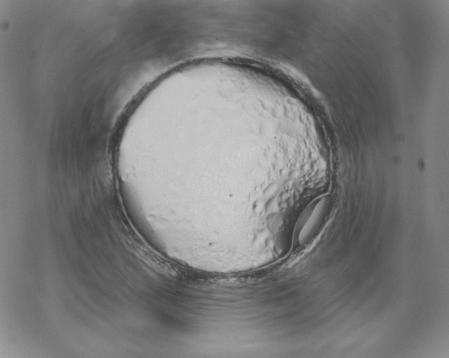 X0000067941167200605112052