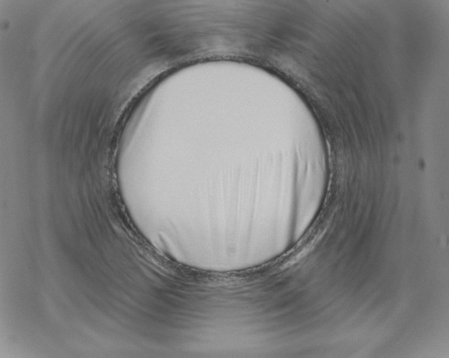 X0000067941170200605112052