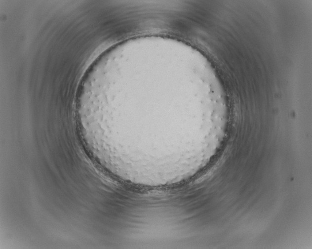 X0000067941178200605112052