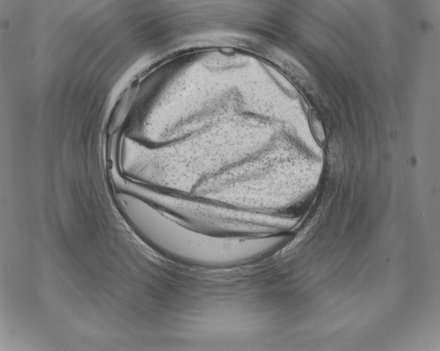 X0000067941180200605112052