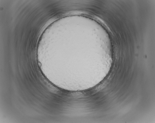 X0000067941186200605112052