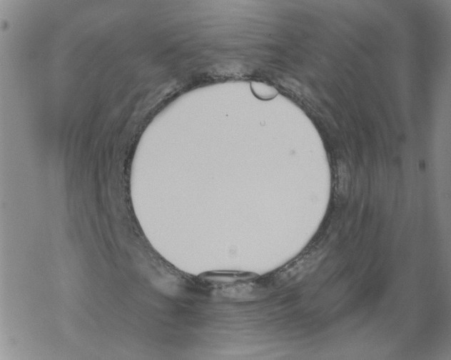 X0000067941201200605112051
