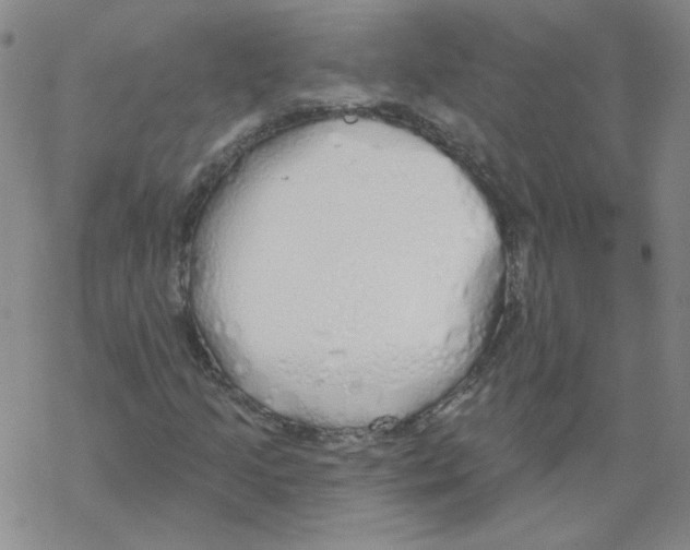 X0000067941205200605112051