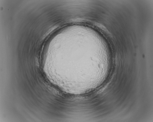 X0000067941209200605112051