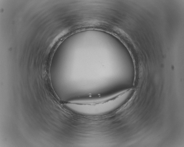 X0000067941210200605112051