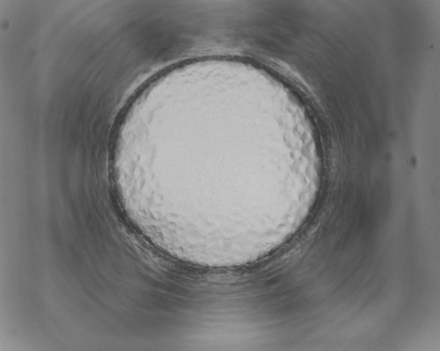 X0000067941220200605112051