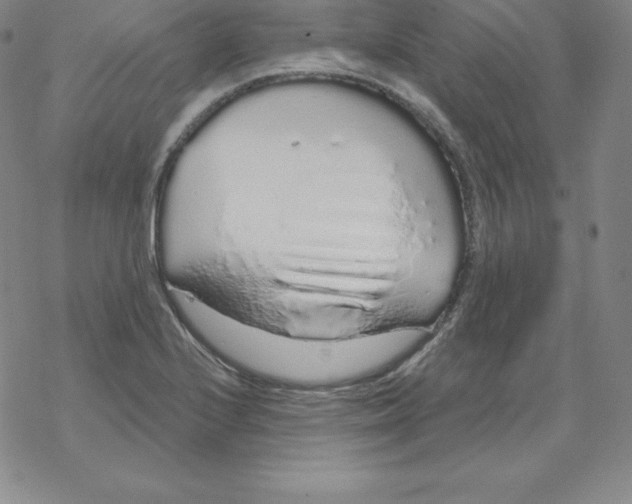 X0000067941224200605112051