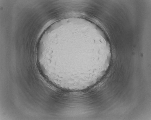 X0000067941227200605112051