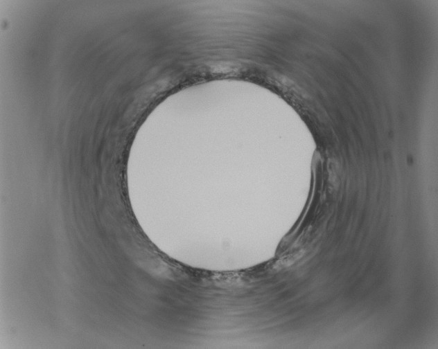 X0000067941249200605112051