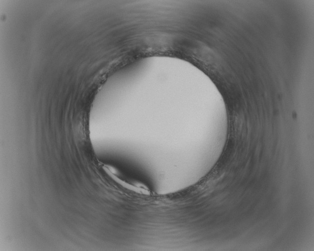X0000067941250200605112051