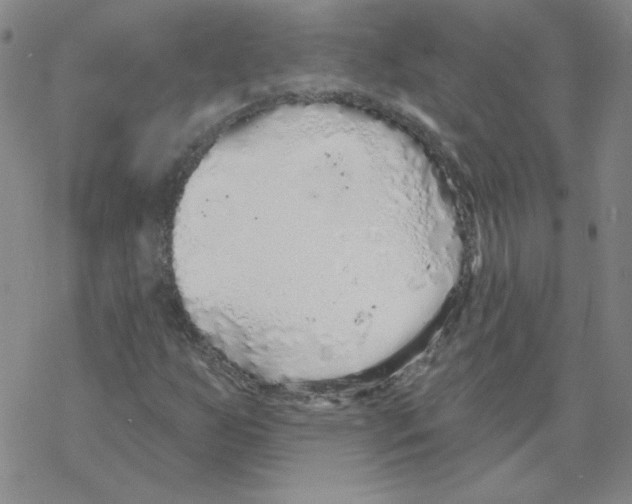 X0000067941255200605112051