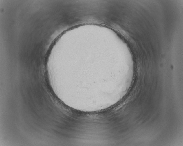 X0000067941264200605112050