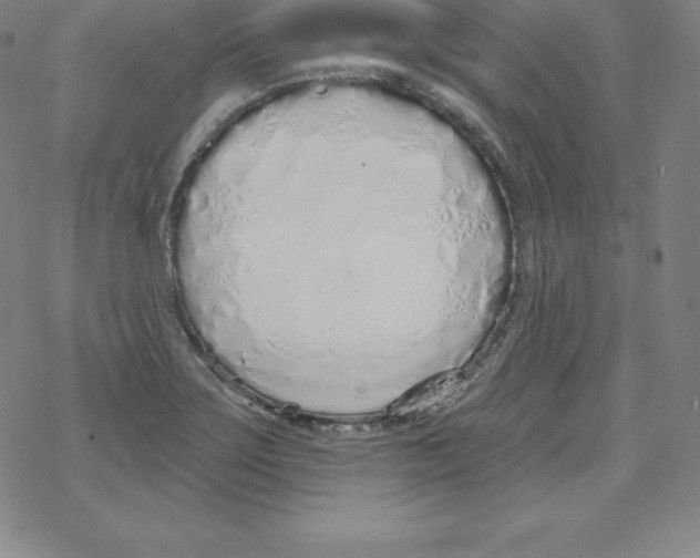 X0000067941275200605112050