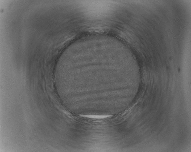 X0000067941297200605112049