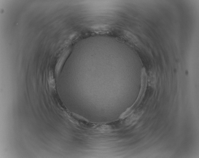 X0000067941298200605112049