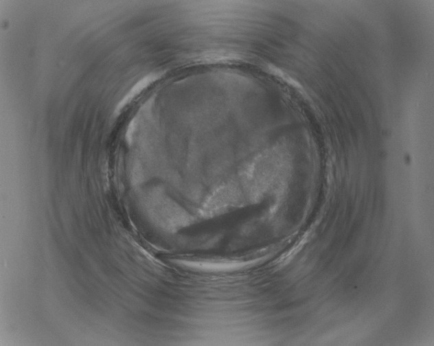 X0000067941306200605112049