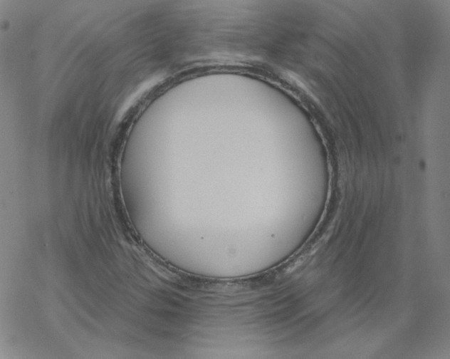 X0000067941307200605112049