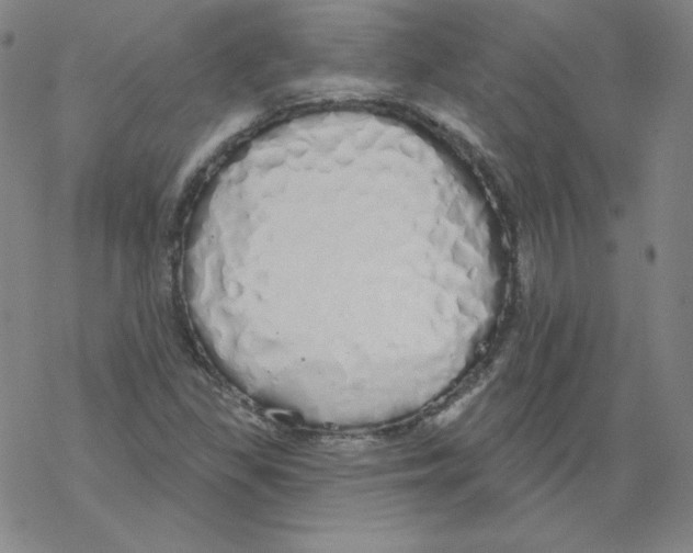 X0000067941309200605112049