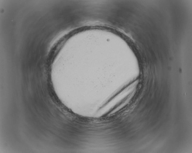 X0000067941311200605112049