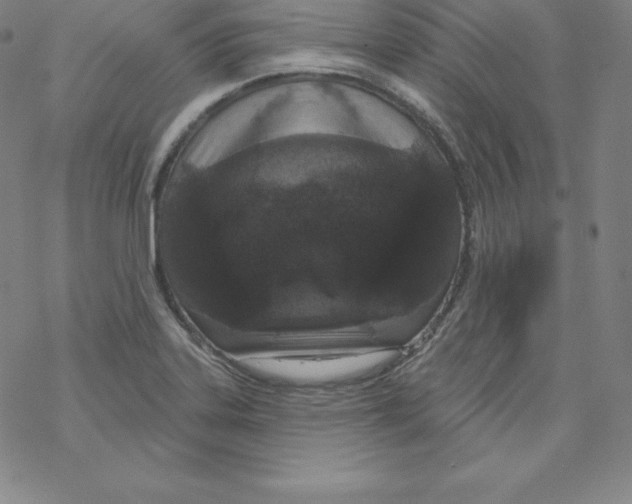 X0000067941323200605112050