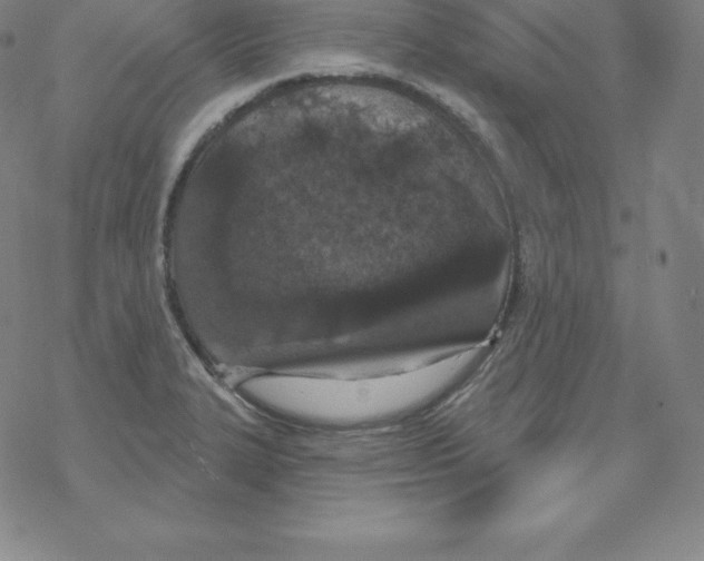 X0000067941327200605112050