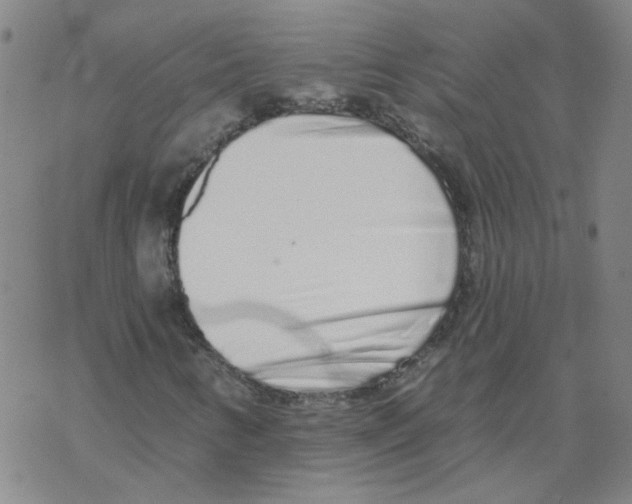 X0000067941346200605112049