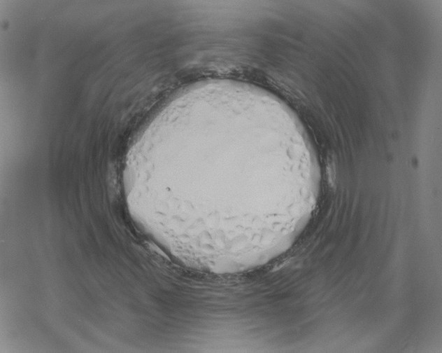 X0000067941347200605112049