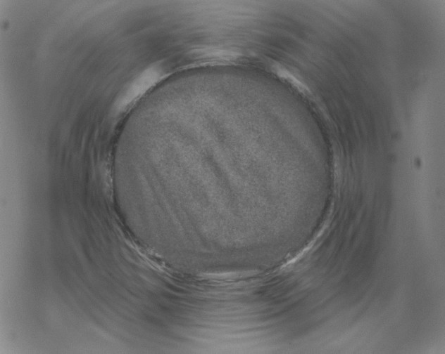 X0000067941354200605112049