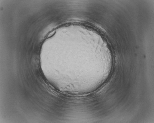 X0000067941355200605112049