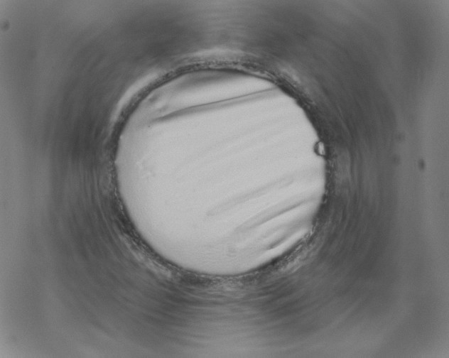 X0000067941358200605112049