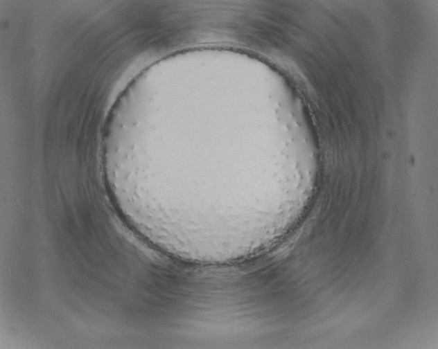 X0000067941374200605112049