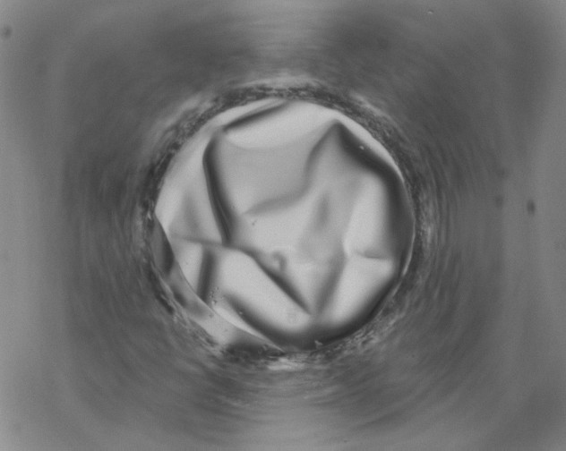 X0000067941398200605112048