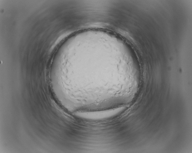 X0000067941404200605112048