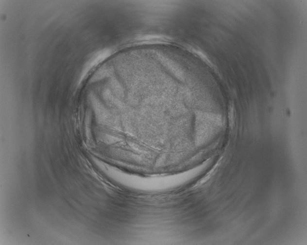 X0000067941405200605112048
