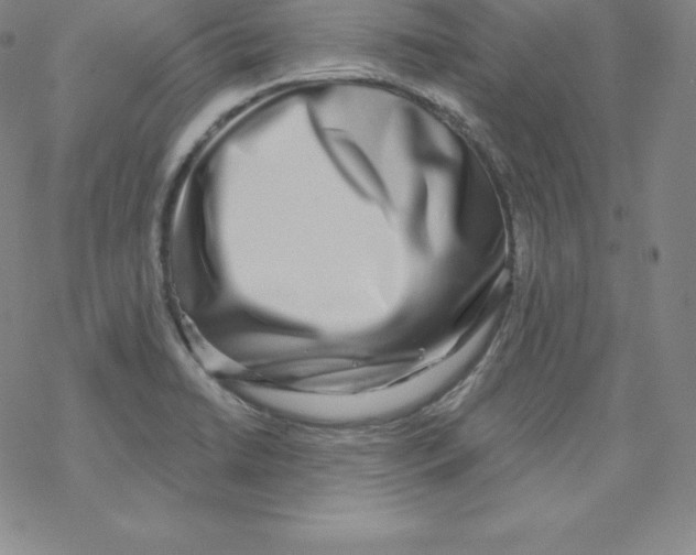 X0000067941422200605112048