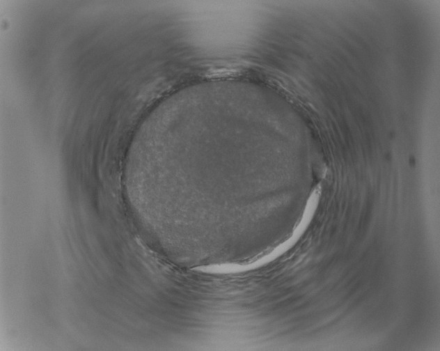 X0000067941441200605112048