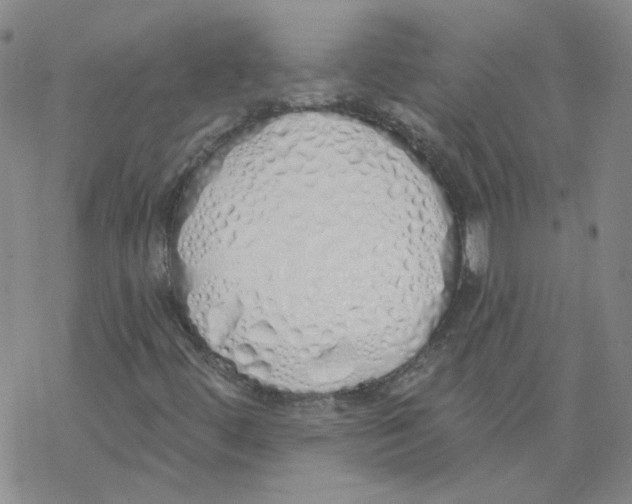 X0000067941444200605112047