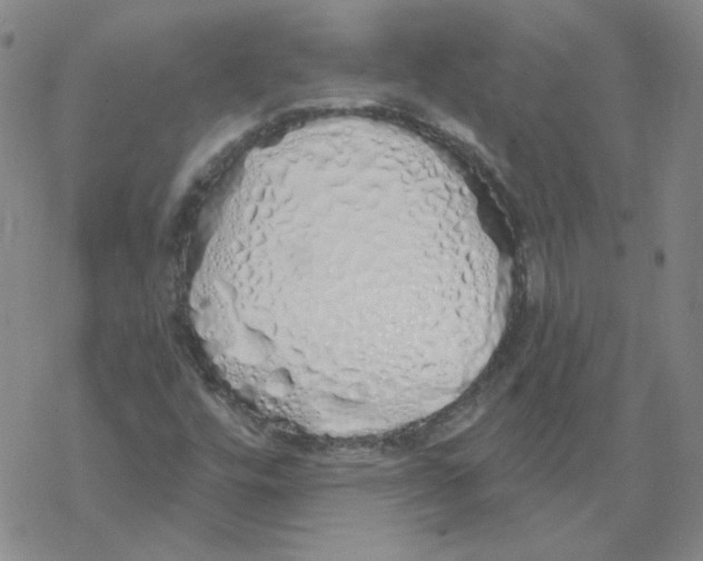 X0000067941448200605112047
