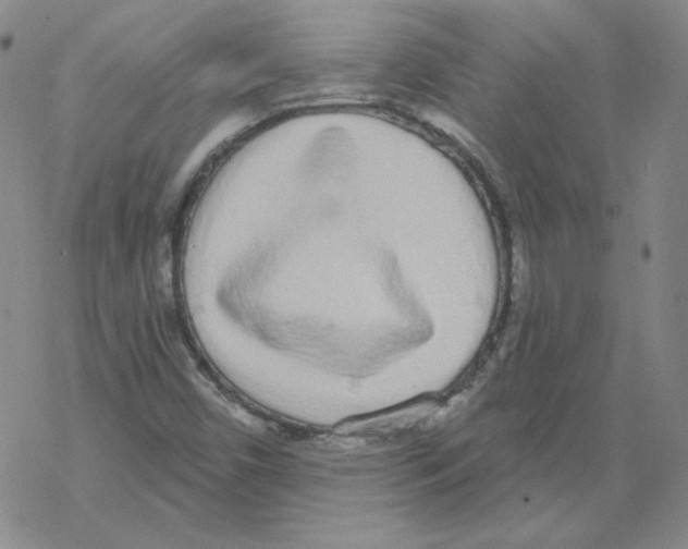 X0000067941450200605112047